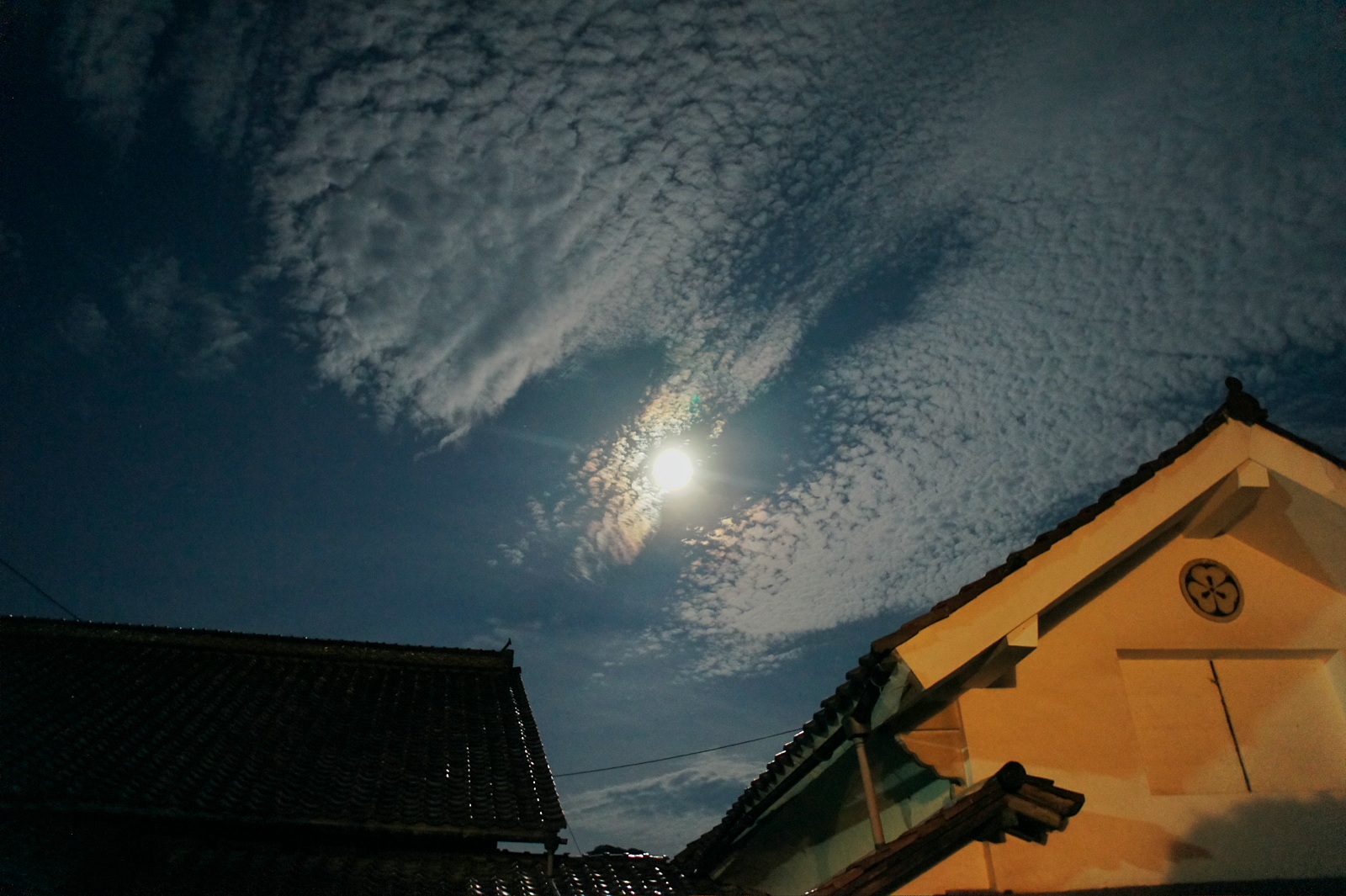 e0015567_2393569.jpg