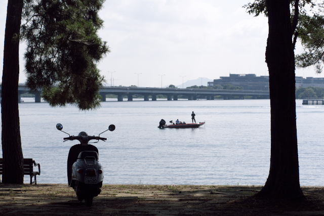 いつもの琵琶湖岸風景_f0080267_9184292.jpg