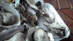 f0098680_1515930.jpg