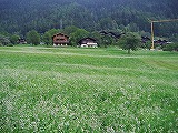 a0142083_12292251.jpg