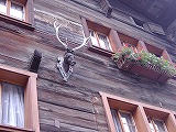 a0142083_12341588.jpg