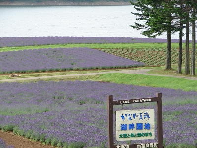 峠の雲海とかなやま湖_f0195891_14273085.jpg