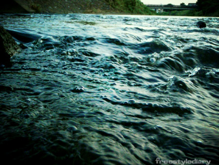 c0006592_8542742.jpg