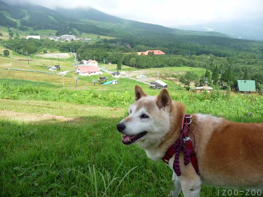 イキイキしちゃう_c0223095_1910419.jpg