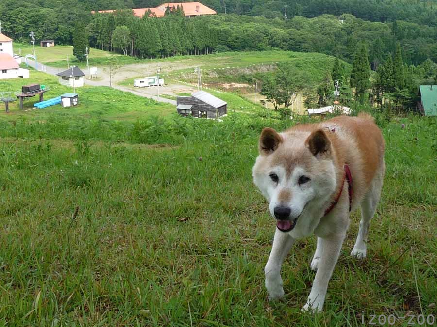 イキイキしちゃう_c0223095_19153889.jpg