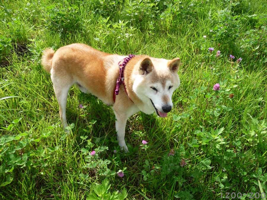 イキイキしちゃう_c0223095_1915927.jpg