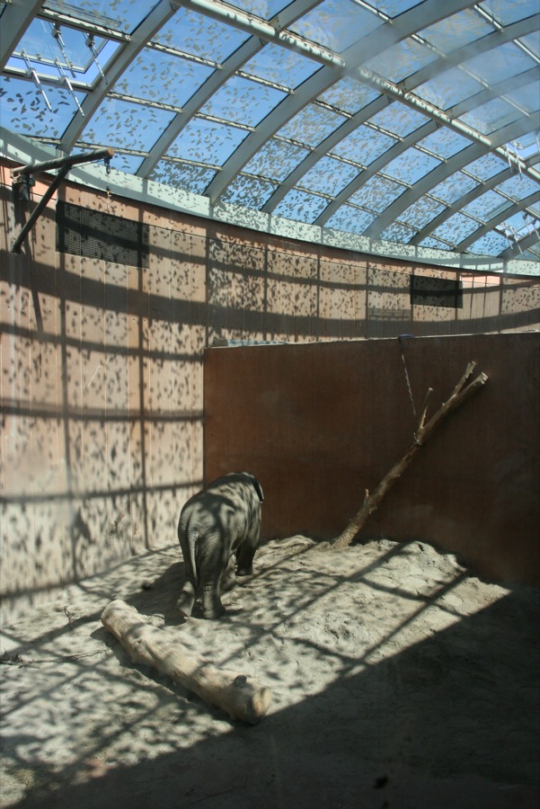 引け目を感じないアクセシビリティ 〜コペンの動物園〜_f0015295_3561323.jpg