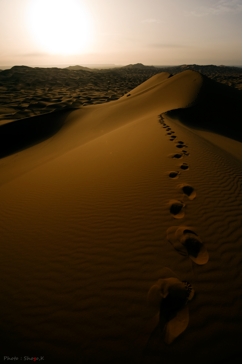 f0186496_2351055.jpg