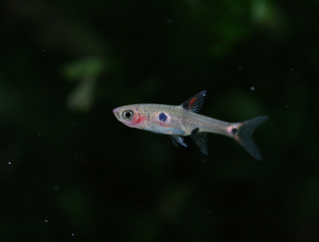 c0165800_2116590.jpg