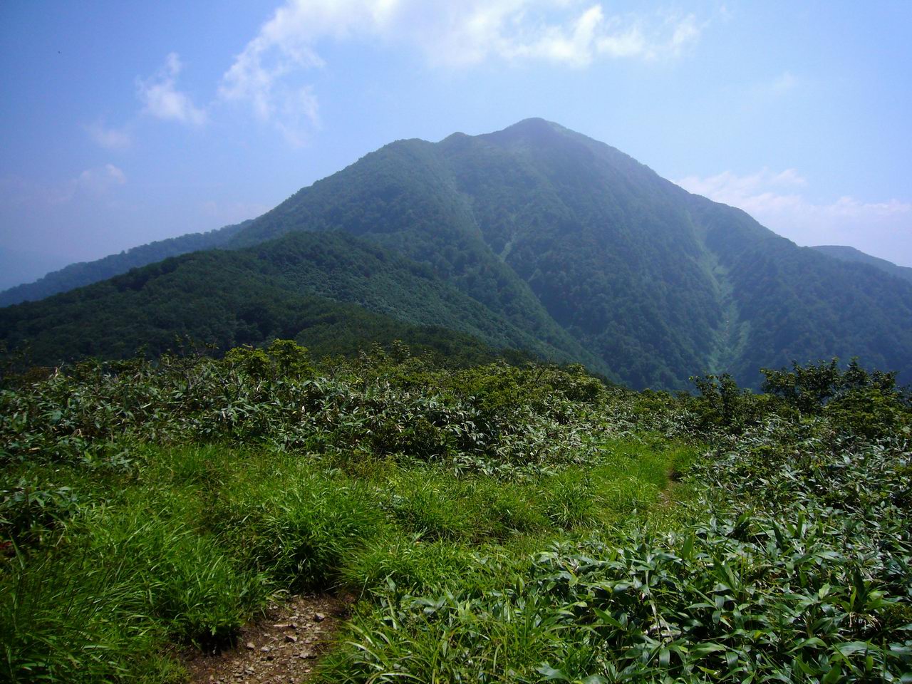 荒島岳－やっと梅雨が明けて_e0110500_18274048.jpg