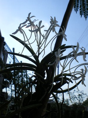 f0206605_1522182.jpg