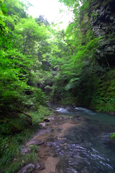 a0097006_20254674.jpg