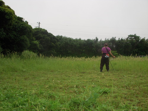 b0134008_21585358.jpg