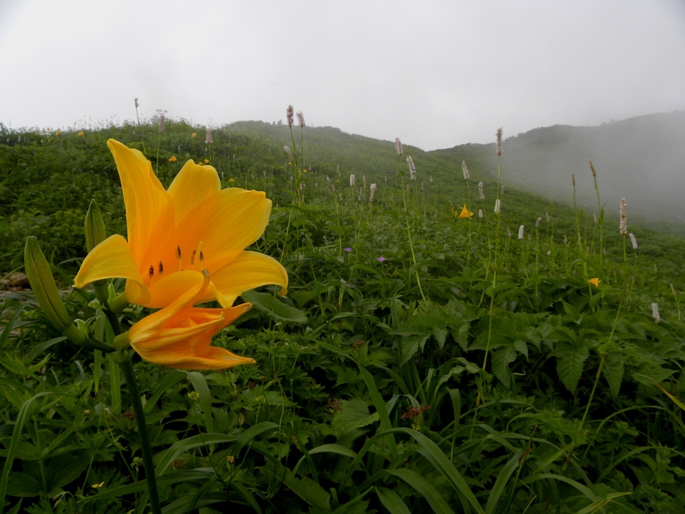 c0078410_8293799.jpg
