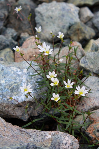 d0077811_412145.jpg