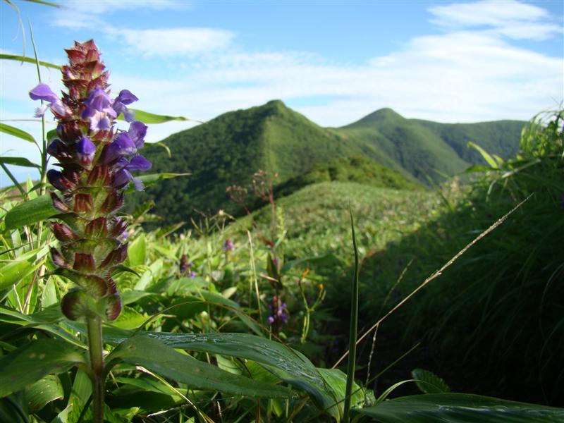 仙台神室は炎天のお山_a0127015_18493121.jpg