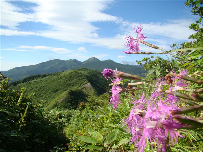 仙台神室は炎天のお山_a0127015_18531542.jpg