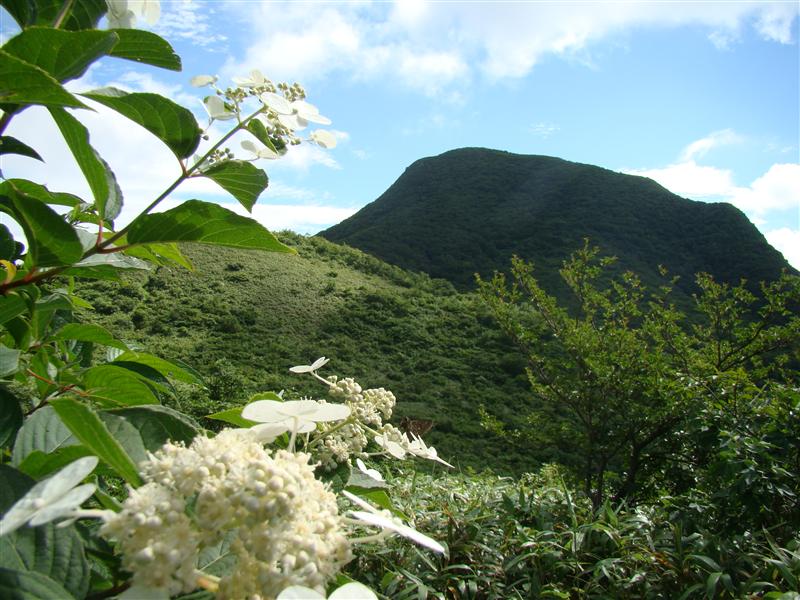 仙台神室は炎天のお山_a0127015_18564257.jpg