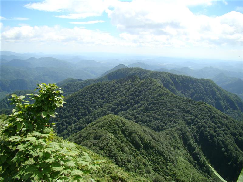 仙台神室は炎天のお山_a0127015_1901083.jpg