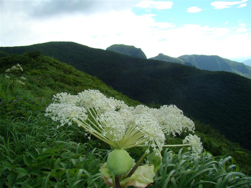 仙台神室は炎天のお山_a0127015_19151250.jpg