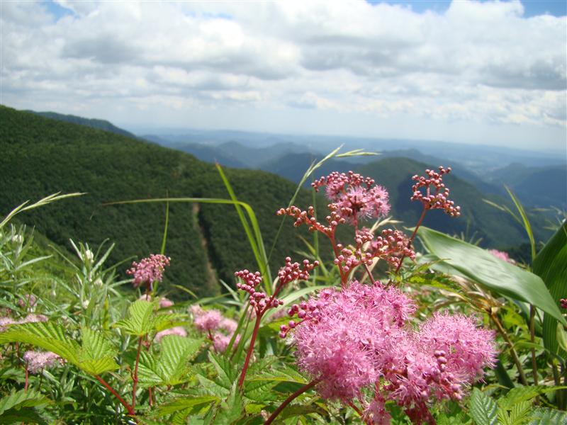 仙台神室は炎天のお山_a0127015_1916588.jpg