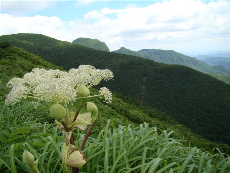 仙台神室は炎天のお山_a0127015_1933677.jpg