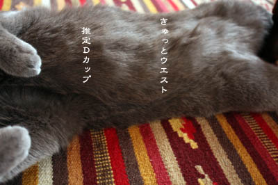 ロッタの開きで夏を見る_e0156015_12383251.jpg