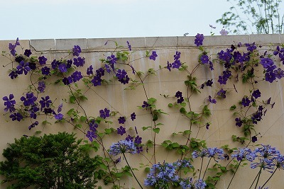 f0170524_9271813.jpg