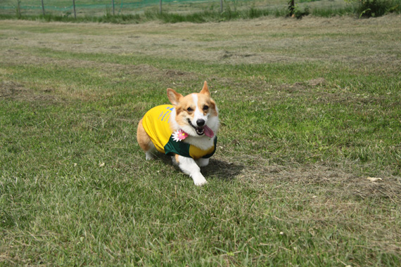 e0071225_15434711.jpg