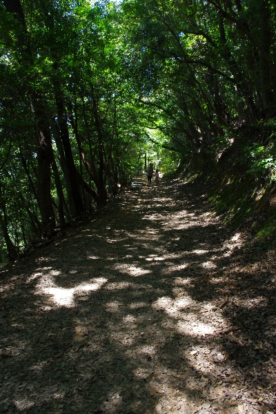 c0113733_017437.jpg
