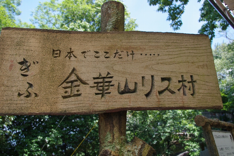 c0113733_084837.jpg