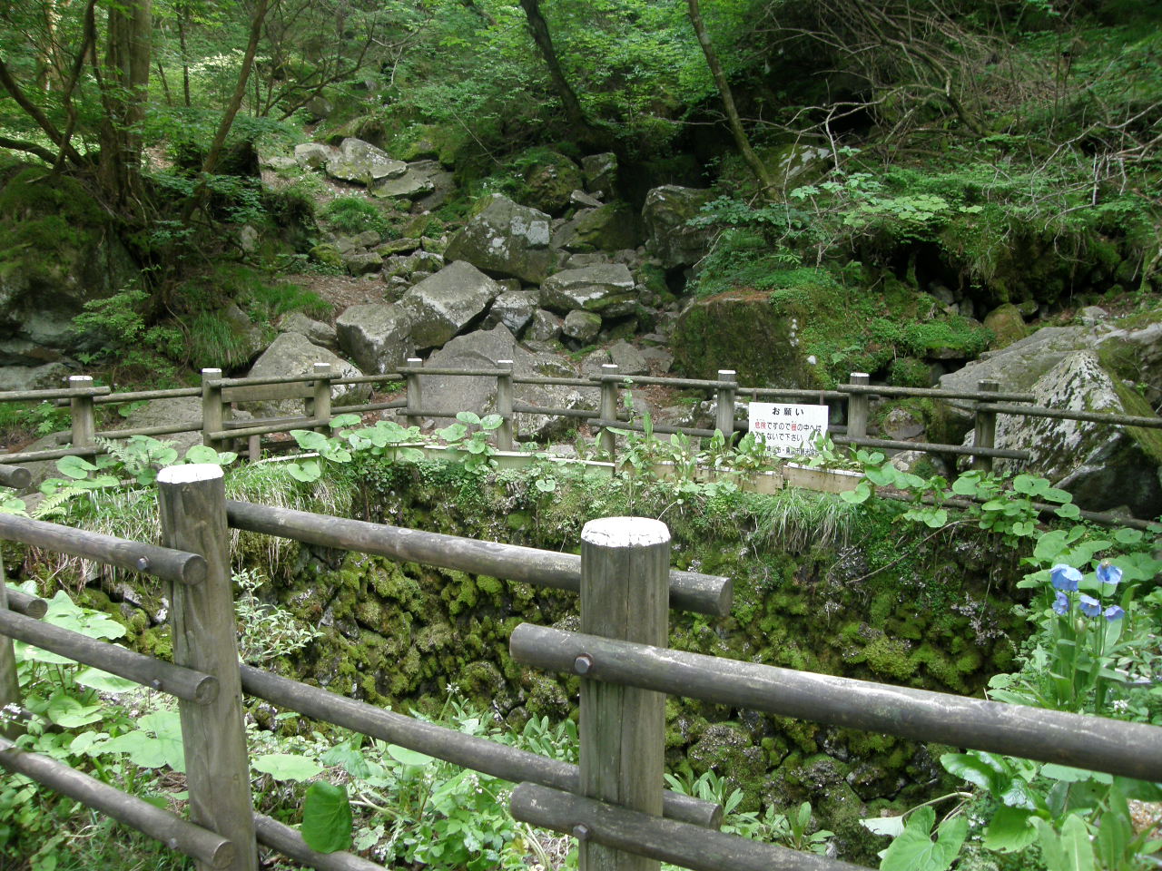 c0141933_2334105.jpg
