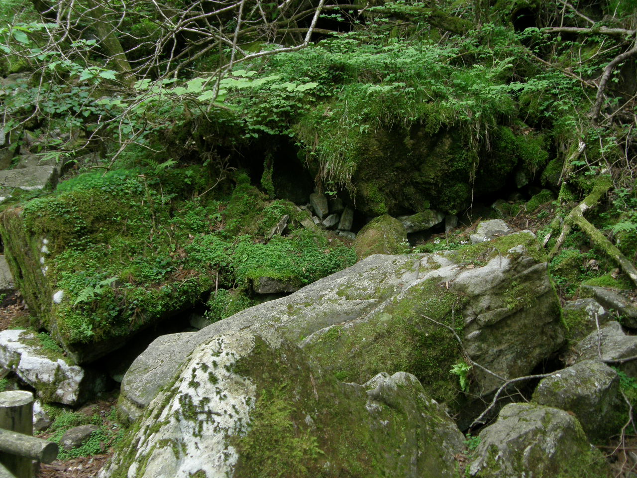 c0141933_23345361.jpg