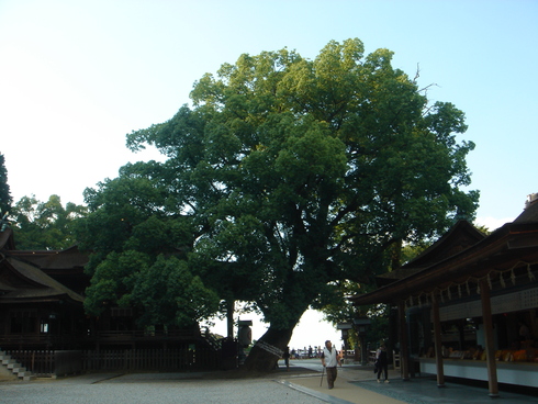 d0169933_19325155.jpg