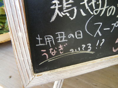 土用丑の日_d0168735_15544114.jpg