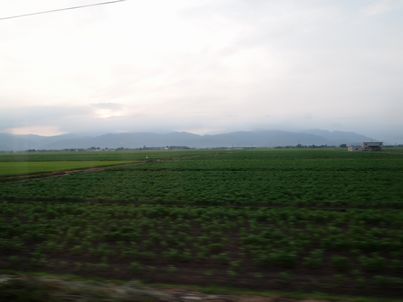 d0079440_19395010.jpg