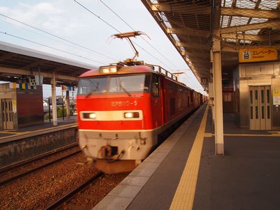 d0079440_2061292.jpg