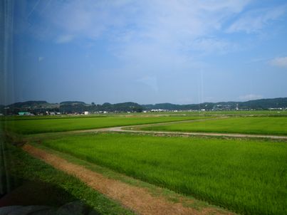 d0079440_21333920.jpg