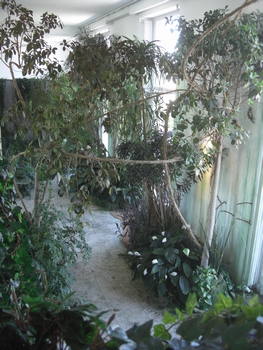 a0110441_1634388.jpg