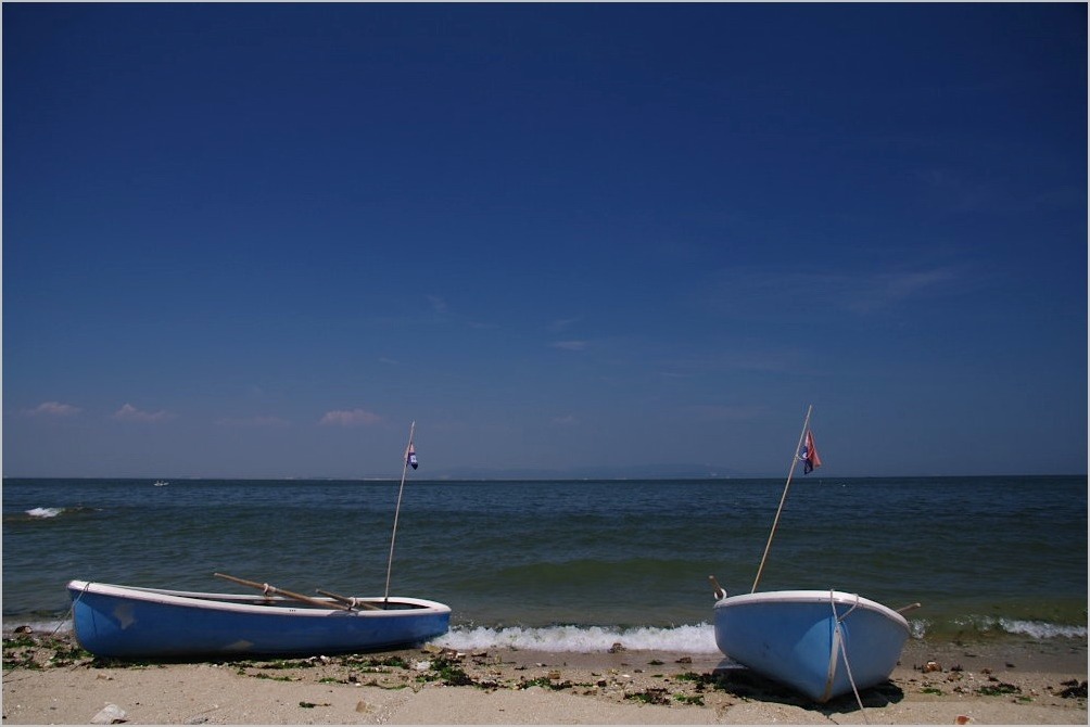 d0058445_2293787.jpg