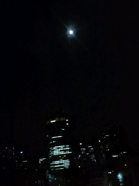 b0009849_0554828.jpg
