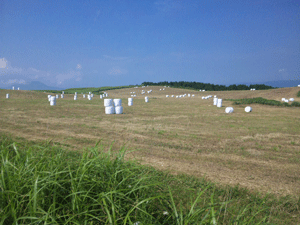 真夏のチャレンジ、阿蘇ｃｙｃｌｉｎｇ（＾０＾）_f0229250_18423666.gif