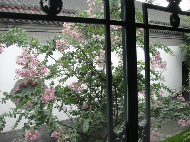 f0036857_20261932.jpg