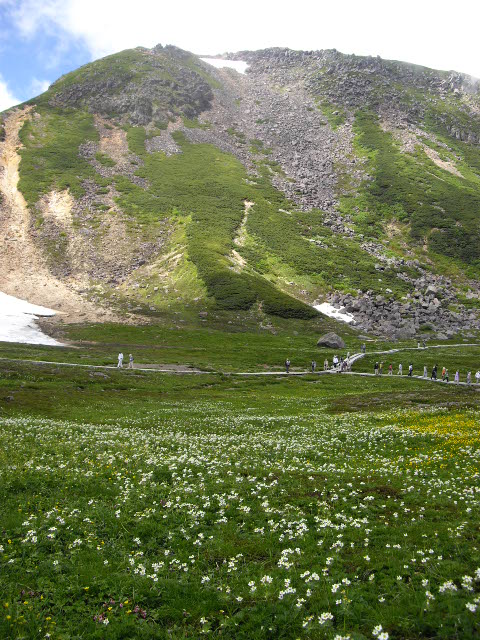 d0116059_20143757.jpg