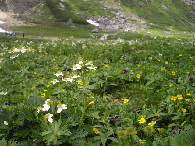 d0116059_20322432.jpg