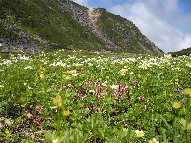 d0116059_20391839.jpg