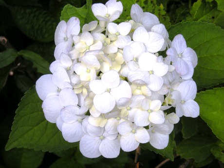 c0127460_22341569.jpg