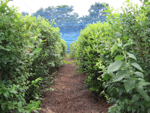f0236260_1911780.jpg