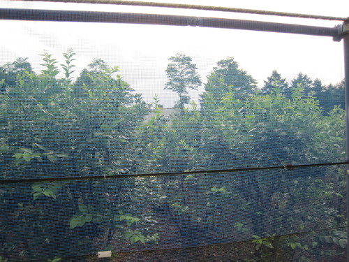 f0236260_202368.jpg