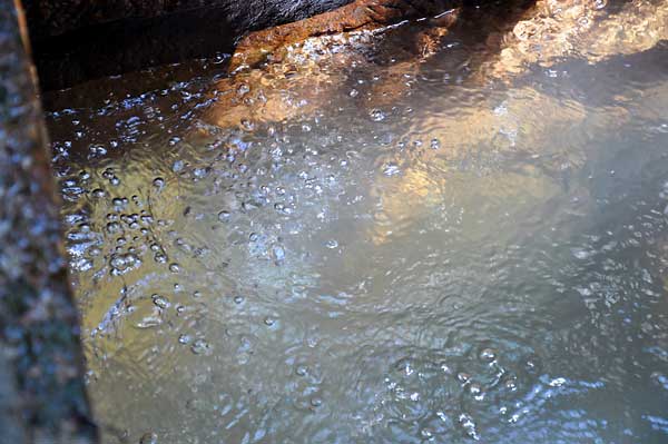 c0043361_23291111.jpg